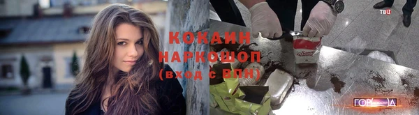 тгк Баксан